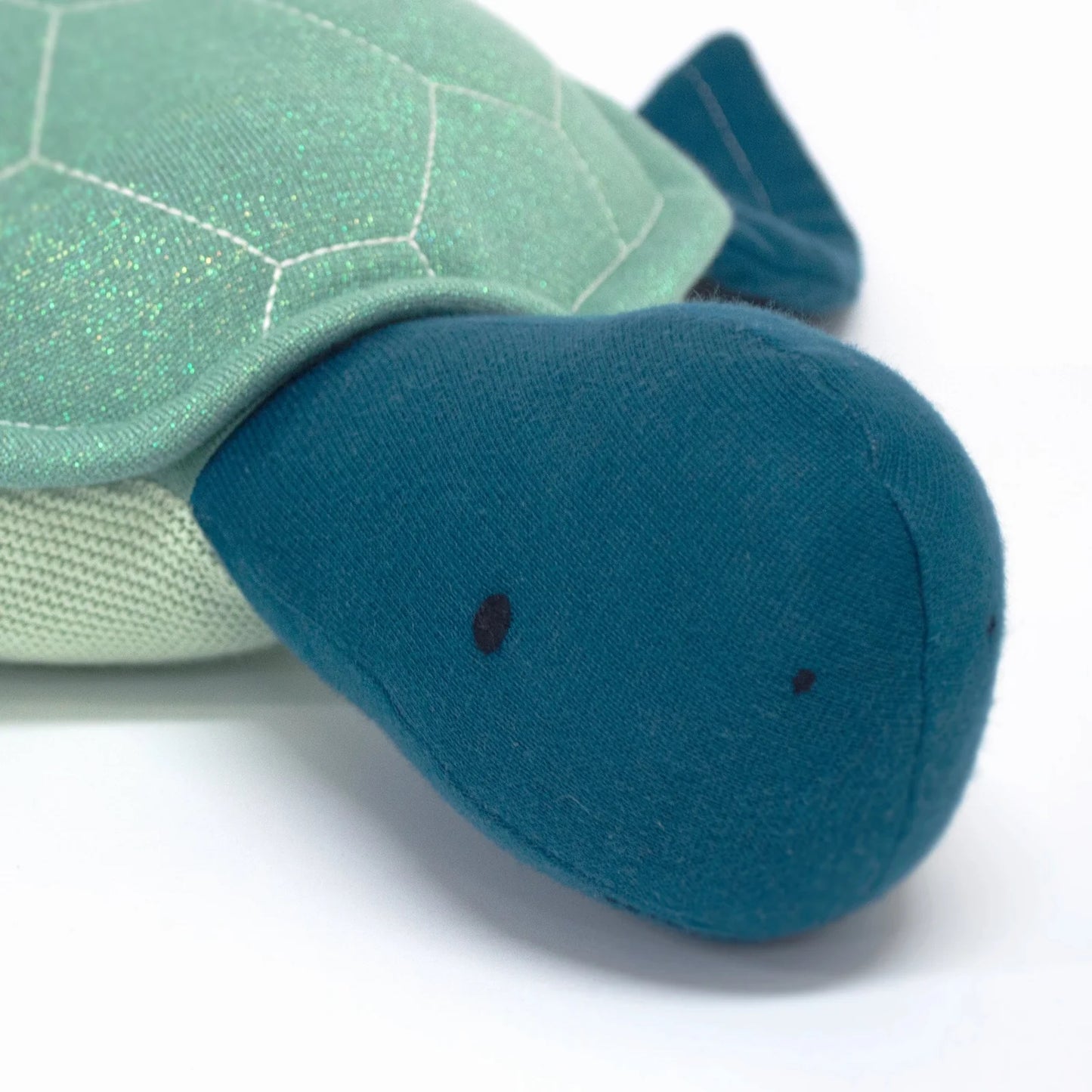 Louie the Sea Turtle