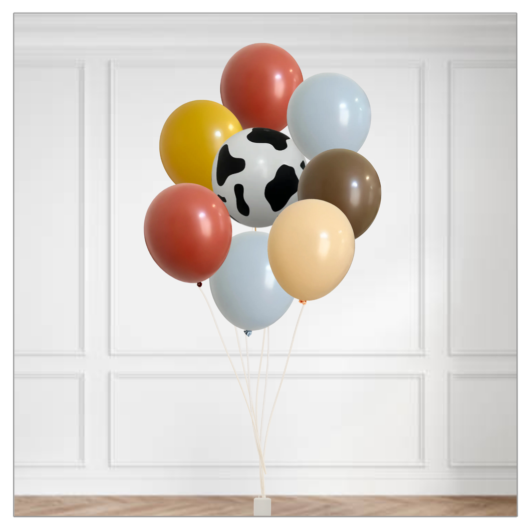 Retro Barnyard Balloon Bouquet