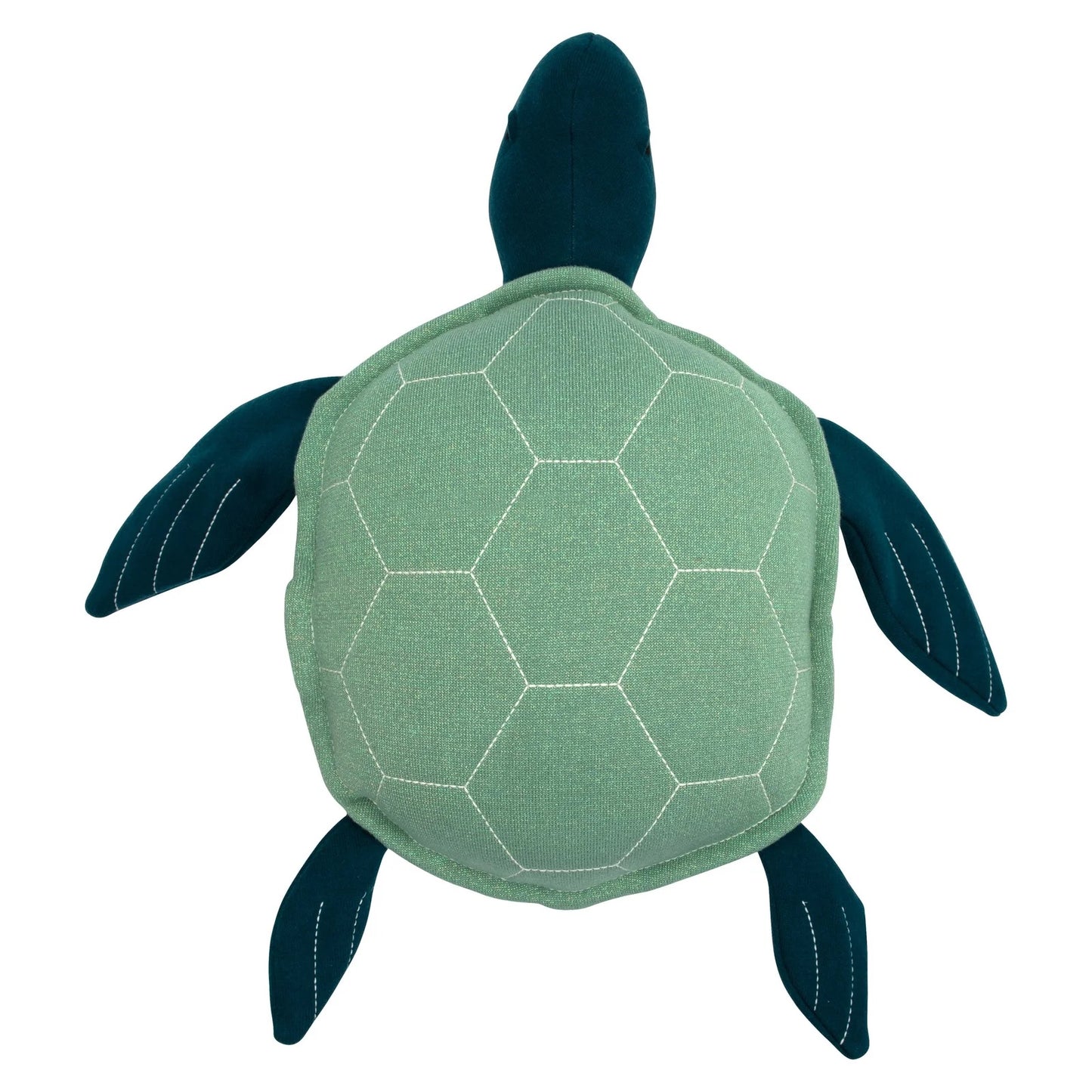 Louie the Sea Turtle