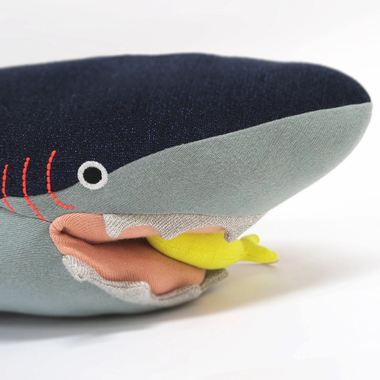 Vinnie the Shark