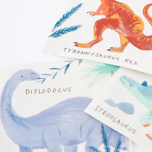 Dinosaur Napkin (Sm)
