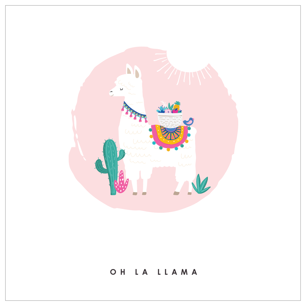 Ooh La Llama - Super Party Box
