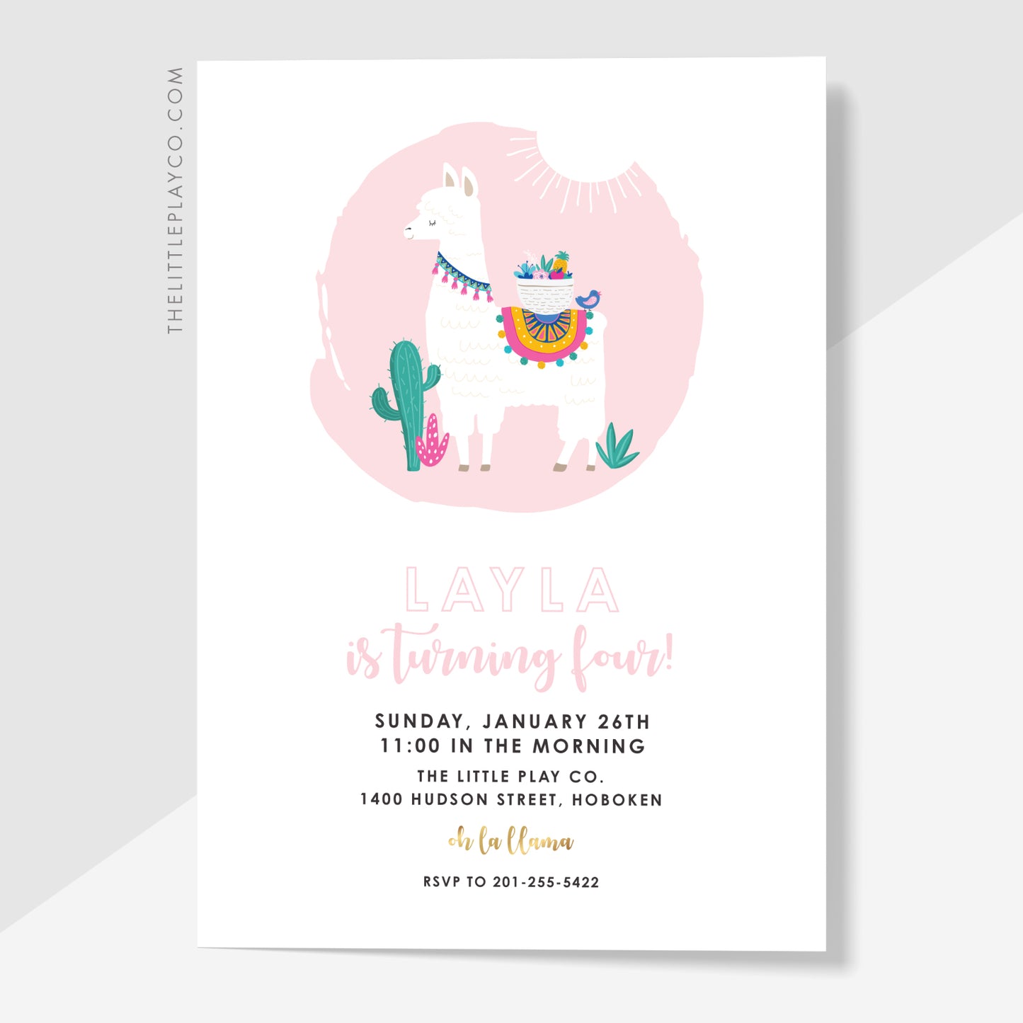 Ooh La Llama - Super Duper Party Box